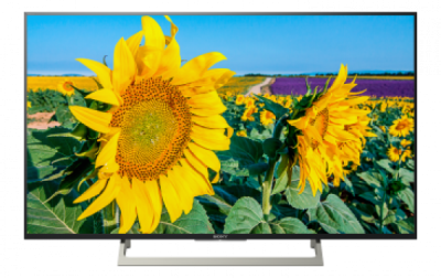 LED TV Sony KD49XF8096BR2 (KD49XF8096BR2) Изображение №1